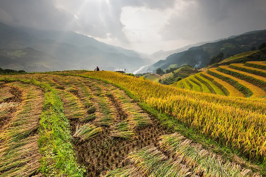 Cycling Tour Sapa 3 Days from Sa Pa to Lao Cai